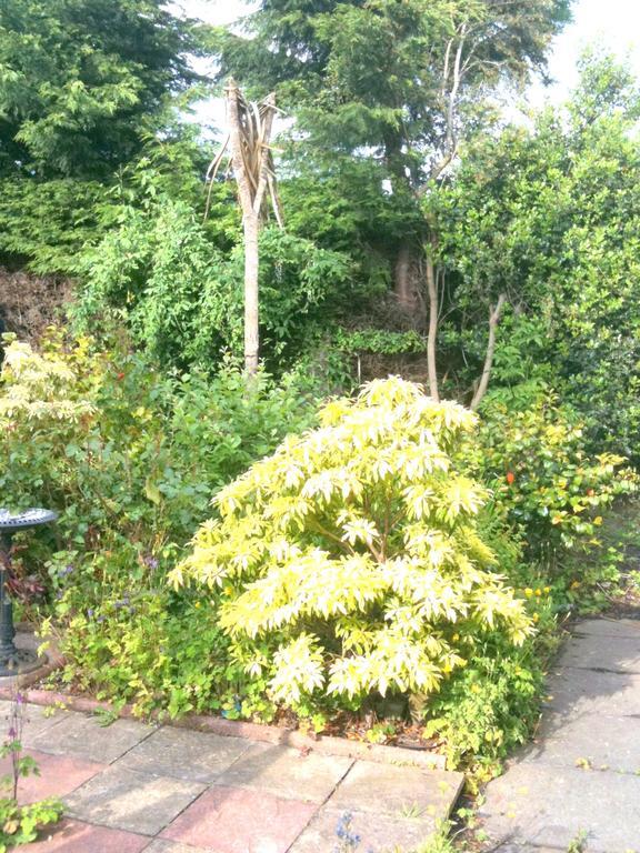 Almond House B&B Edinburgh Exterior photo